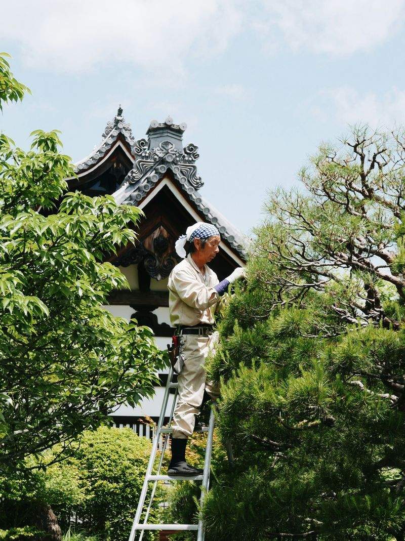 山本 梨花